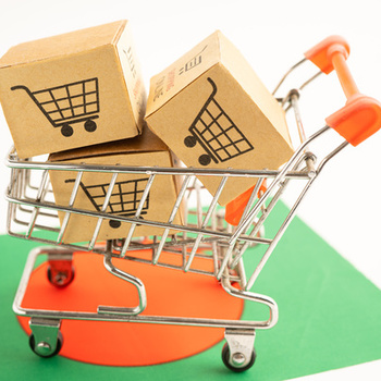 Постановление правительства №1875 от 23.12.2024 - ограничения - fgospostavki.ru - Белово