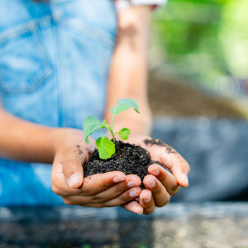 Агротехнологические классы в общеобразовательных организациях - fgospostavki.ru - Белово
