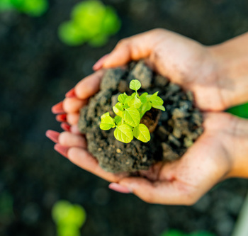 Инженерные биологические системы: междисциплинарное образование в школах - fgospostavki.ru - Белово