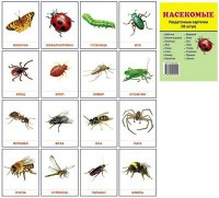 Раздаточные карточки "Насекомые" - fgospostavki.ru - Белово