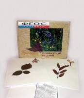 Гербарий "Дикорастущие растения" (28 видов) - fgospostavki.ru - Белово