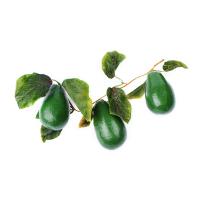 Ветка муляжей "Авокадо" - fgospostavki.ru - Белово