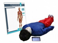 "Игорь-02" манекен-тренажер взрослого пострадавшего для отработки приемов сердечно-легочной реанимации (голова, туловище, конечности) с беспроводным планшетным компьютером и настенным анатомическим табло - fgospostavki.ru - Белово