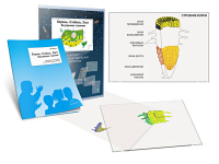 Комплект кодотранспарантов "Корень. Стебель. Лист (Внутреннее строение)" - fgospostavki.ru - Белово