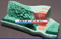 Модель "Структура листа" - fgospostavki.ru - Белово