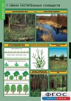 Комплект таблиц. Биология. Растения и окружающая среда. - fgospostavki.ru - Белово