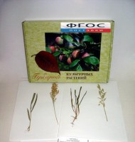 Гербарий "Культурные растения" (28 видов) - fgospostavki.ru - Белово