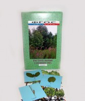 Гербарий "Растительные сообщества" (9 видов х 5 планшетов) - fgospostavki.ru - Белово