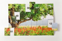 Магнитная таблица умножения "Поле" - fgospostavki.ru - Белово