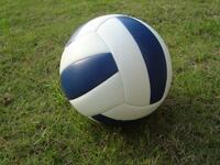 Мяч волейбольный звенящий - fgospostavki.ru - Белово