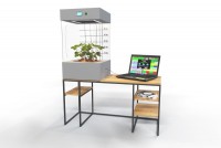 Цифровая биосистема по выращиванию растений. Базовый уровень - fgospostavki.ru - Белово