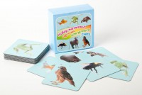 Набор магнитных карточек "Устный счет" (фон голубой) - fgospostavki.ru - Белово