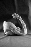 Рука согнутая в локте (гипс) - fgospostavki.ru - Белово