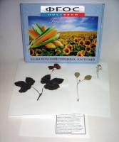 Гербарий "Сельскохозяйственные растения" (28 видов) - fgospostavki.ru - Белово