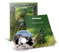 Электронное наглядное пособие «Птицы» - fgospostavki.ru - Белово