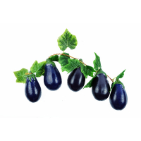 Ветка муляжей "Баклажаны" - fgospostavki.ru - Белово