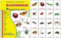 Демонстрационные карточки "Насекомые" - fgospostavki.ru - Белово
