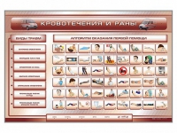 Трехсекционный базовый комплект "Травмы. Кровотечения. Ожоги" для учащихся общеобразовательных учреждений - fgospostavki.ru - Белово