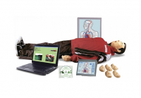 "Максим III-01" тренажер сердечно-легочной и мозговой реанимации - fgospostavki.ru - Белово