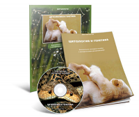 Электронное наглядное пособие «Цитология и генетика» - fgospostavki.ru - Белово