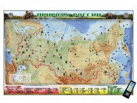 Электронно-информационный (маркерный) стенд "Природа России" адаптивный, с сенсорным пультом управления и планшетом со шрифтом Брайля - fgospostavki.ru - Белово