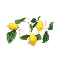 Ветка муляжей "Лимоны" - fgospostavki.ru - Белово
