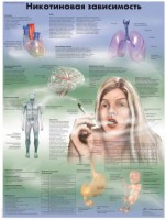 Плакат "Никотиновая зависимость" ламинированный - fgospostavki.ru - Белово