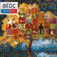 Начальная школа. Иностранный язык. (Цифровая база изображений) - fgospostavki.ru - Белово