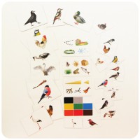 Набор магнитных карточек "Загадки-отрицания". Птицы - fgospostavki.ru - Белово