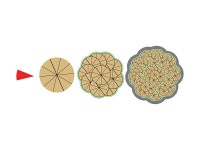 Магнитная математика Наталии Пятибратовой (Числовые фигуры) - fgospostavki.ru - Белово