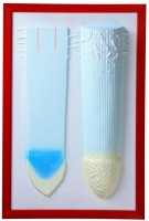 Барельефная модель "Клеточное строение корня" - fgospostavki.ru - Белово