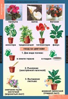 Комплект таблиц. Окружающий мир 1 класс. - fgospostavki.ru - Белово