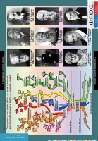 Комплект таблиц. Биология. Введение в экологию. - fgospostavki.ru - Белово