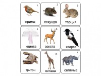 Набор магнитных карточек по музыке "Животные" (9 штук) - fgospostavki.ru - Белово