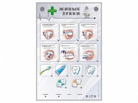 Интерактивный стенд "Живые зубки" - fgospostavki.ru - Белово