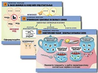 Комплект таблиц "Русский язык. Орфография" (14 таблиц, формат А1, ламинированные) - fgospostavki.ru - Белово