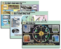 Комплект таблиц "Окружающий мир. Изменения в живой и неживой природе" (10 таблиц, А1, ламинированные) - fgospostavki.ru - Белово