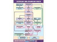 Таблица демонстрационная "Генетическая связь органических веществ" (винил 100x140) - fgospostavki.ru - Белово