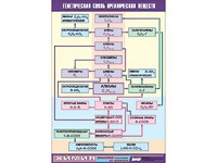 Таблица демонстрационная "Генетическая связь органических веществ" (винил 70x100) - fgospostavki.ru - Белово