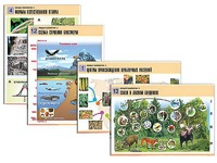 Комплект таблиц по биологии демонстрационных "Общая биология 2" (14 таблиц, формат А1, ламинированные) - fgospostavki.ru - Белово