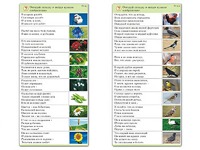 Комплект карточек (10) "Обучающий калейдоскоп. Природа" - fgospostavki.ru - Белово