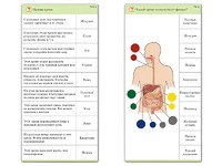 Комплект карточек (10) "Обучающий калейдоскоп. Человек" - fgospostavki.ru - Белово
