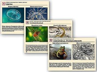 Комплект таблиц раздаточных "Ядовитые животные" - fgospostavki.ru - Белово