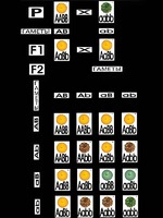Модель-аппликация "Дигибридное скрещивание" (ламинированная) - fgospostavki.ru - Белово