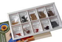 Коллекция "Плоды сельскохозяйственных растений" - fgospostavki.ru - Белово