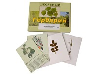 Гербарий "Деревья и кустарники" (22 вида, с иллюстрациями) - fgospostavki.ru - Белово