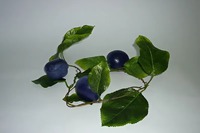 Ветка муляжей "Слива" - fgospostavki.ru - Белово