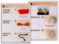 Коллекция "Шерсть" (начальная школа) - fgospostavki.ru - Белово