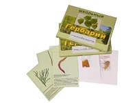 Гербарий "Основные группы растений. Грибы. Лишайники" (53 листа, с иллюстрациями и фотографиями) - fgospostavki.ru - Белово