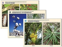 Гербарий фотографический "Сельскохозяйственные растения мира" - fgospostavki.ru - Белово